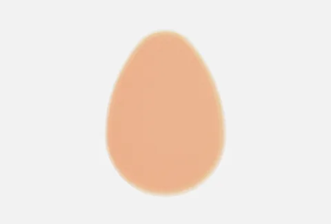 BETER ELITE "foundation sponge"