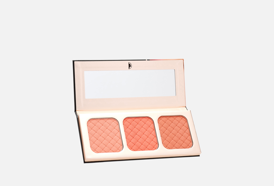 Character Go Blush Face Palette 002