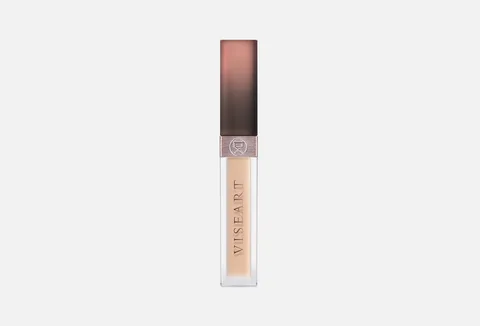 Viseart Long wear Radiant Concealer 008