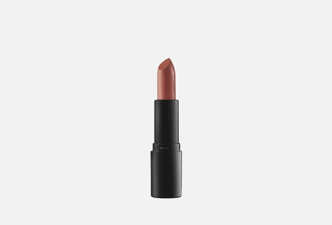 CALLISTA All About Color Matte Lipstick 502