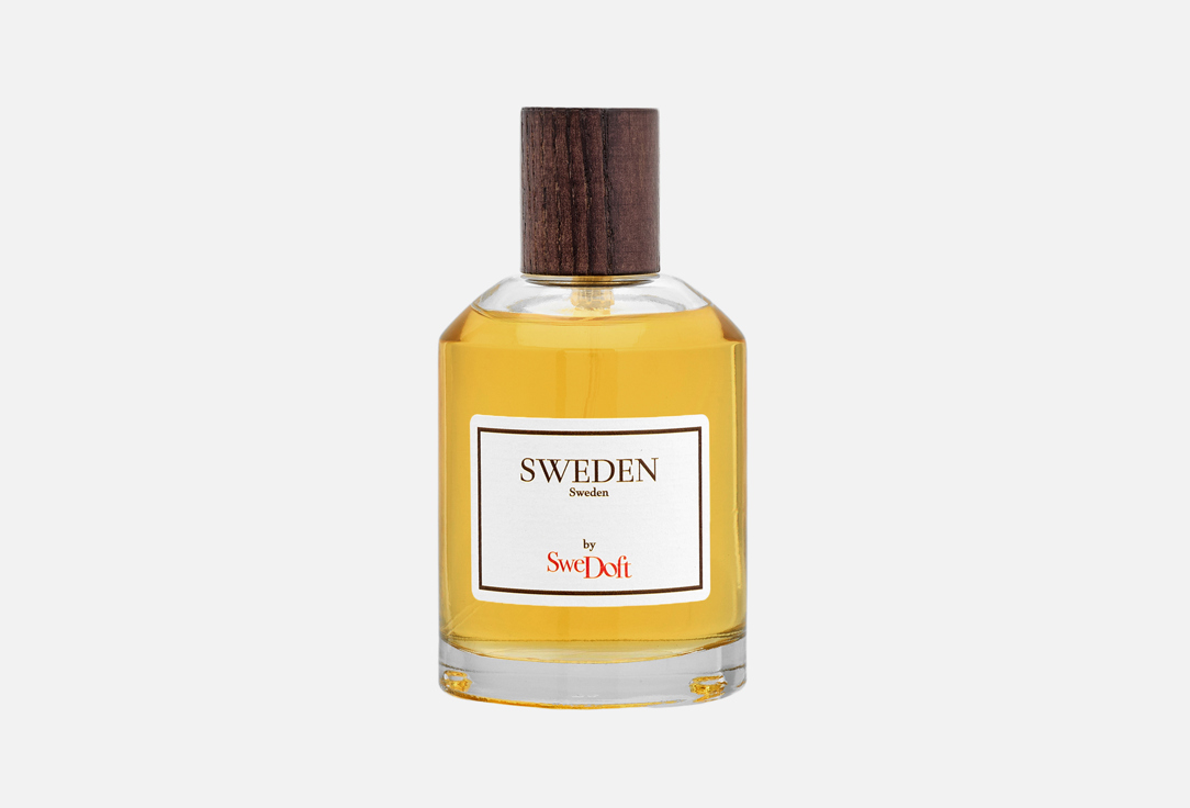 SWEDOFT Sweden EDP