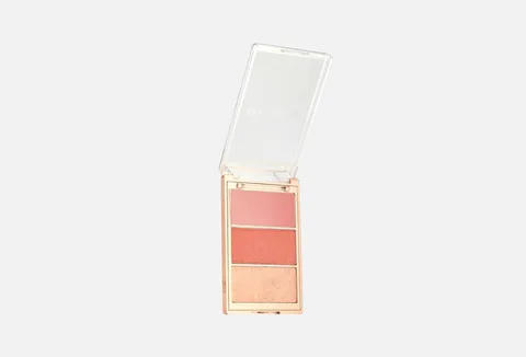 Revolution Blush Icon Palette Aura Points Rose