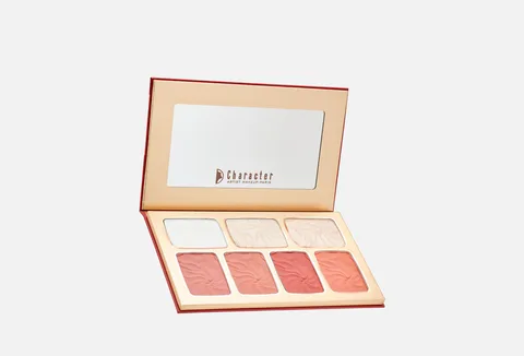 Character The Face Diary Blusher&Highlighter TFD001