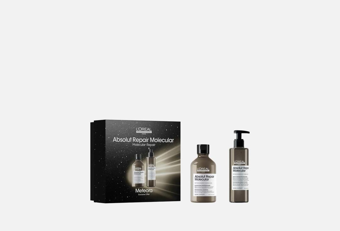 L'Oreal Professionnel Absolut Repair Molecular End of Year Gift Set Duo