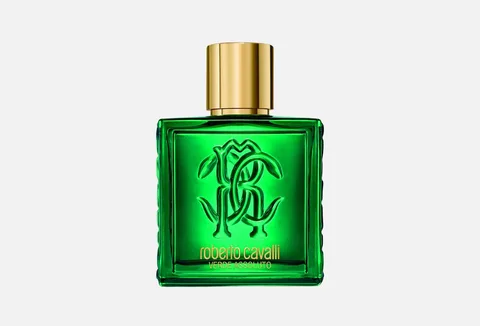 Rbcl uomo verde assoluto EDP