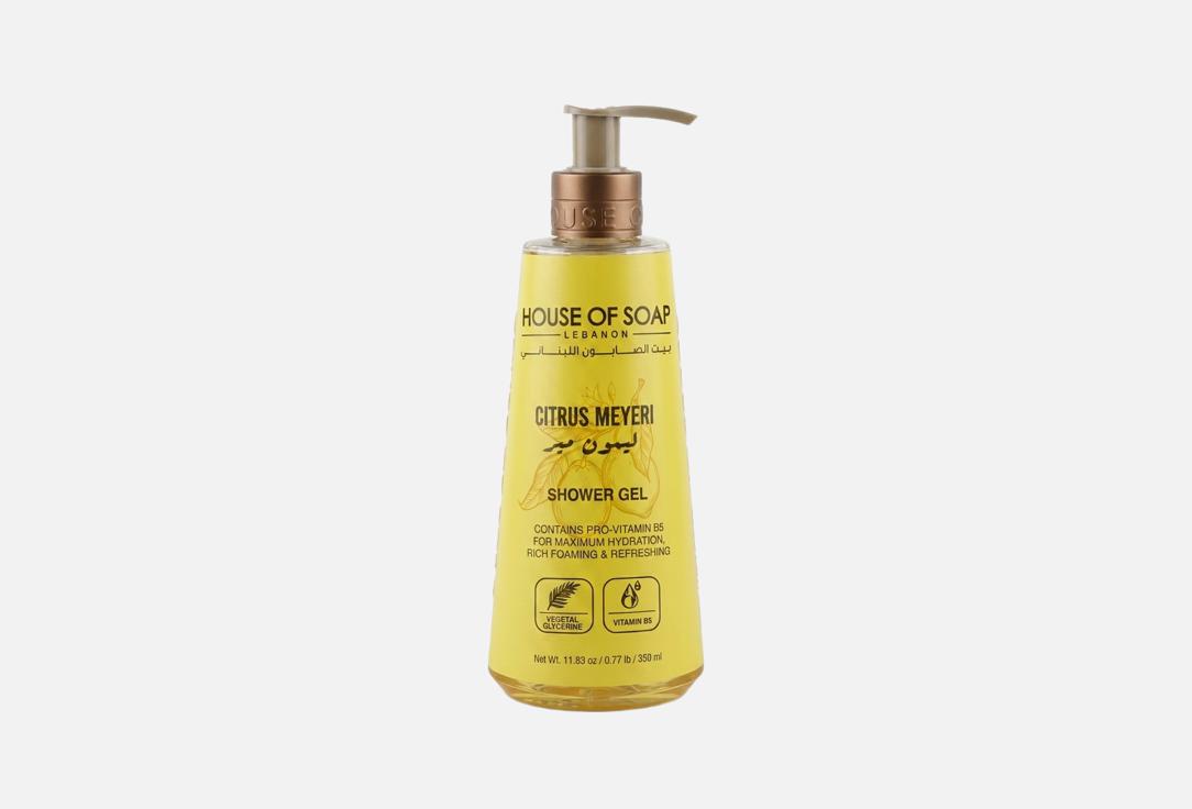 HOUSE OF SOAP LEBANON Shower Gel Citrus Meyeri